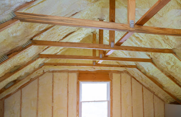 Best Blown-in Insulation in Lake City, MN