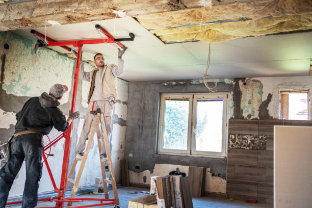 Best Residential Insulation in Lake City, MN